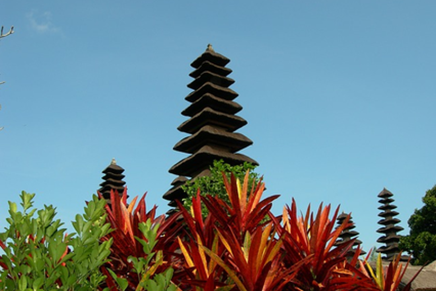 Bali Free and Easy